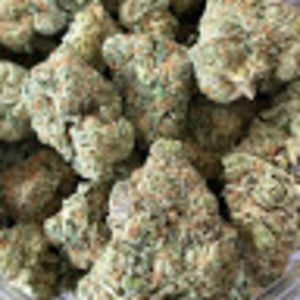 Meet your Posher, Mich